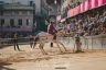 Palio Straordinario: la fotogallery della seconda prova